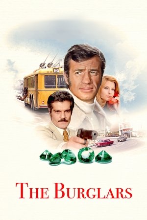 Watch Free The Burglars (1971)