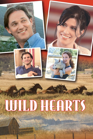 Watch Free Wild Hearts (2006)