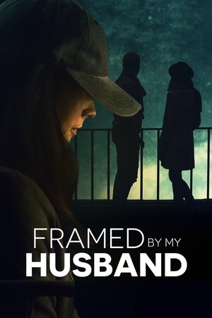 Watch Free Framed by My Husband (2021)