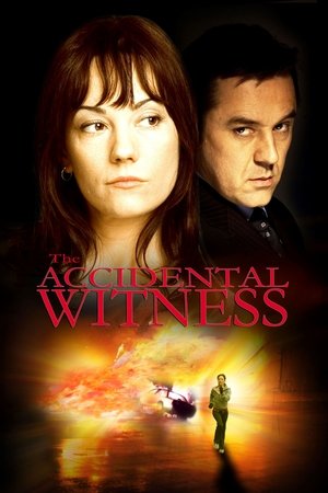 Watch Free The Accidental Witness (2006)