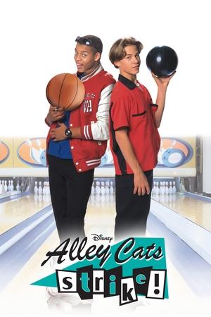 Watch Free Alley Cats Strike (2000)