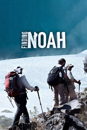 Watch Free Finding Noah (2015)