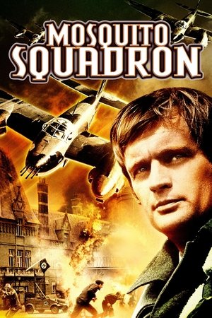 Watch Free Mosquito Squadron (1969)