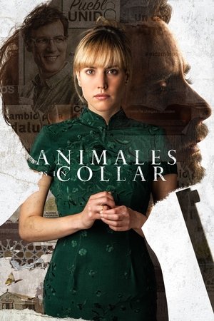 Watch Free Unbridled (2018)