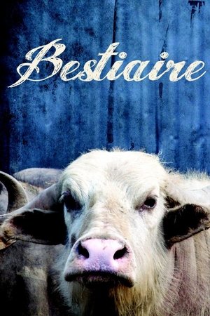 Watch Free Bestiaire (2012)