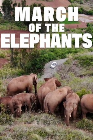 Watch Free March of the Elephants (2022)