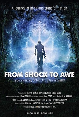 Watch Free From Shock to Awe (2018)