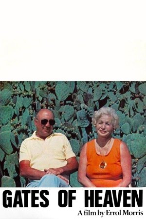 Watch Free Gates of Heaven (1978)