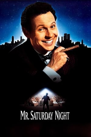 Watch Free Mr. Saturday Night (1992)