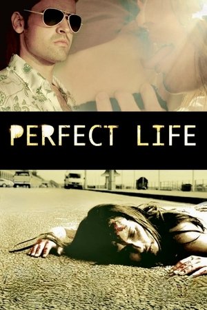 Watch Free Perfect Life (2010)
