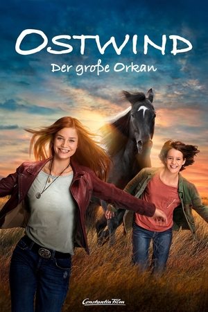 Watch Free Windstorm The Great Hurricane (2021)