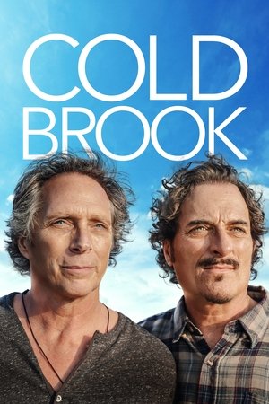 Watch Free Cold Brook (2018)