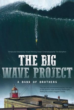 Watch Free The Big Wave Project (2017)