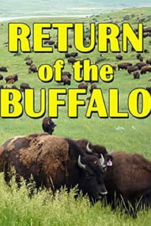 Watch Free The Return of the Buffalo Restoring the Great American Prairie (2008)
