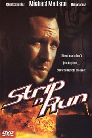 Watch Free The Thief & the Stripper (2000)