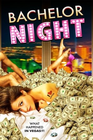 Watch Free Bachelor Night (2014)