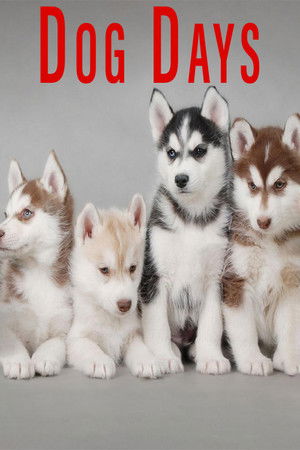 Watch Free Dog Days (2016)