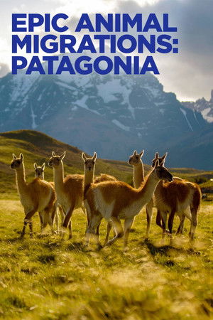 Watch Free Epic Animal Migrations Patagonia (2023)