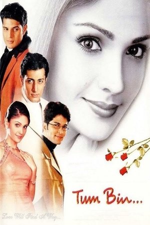Watch Free Tum Bin Love Will Find a Way (2001)