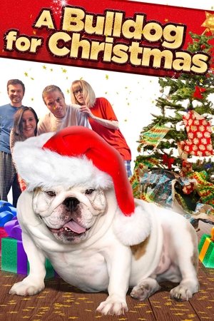Watch Free A Bulldog for Christmas (2013)