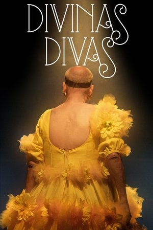 Watch Free Divine Divas (2016)