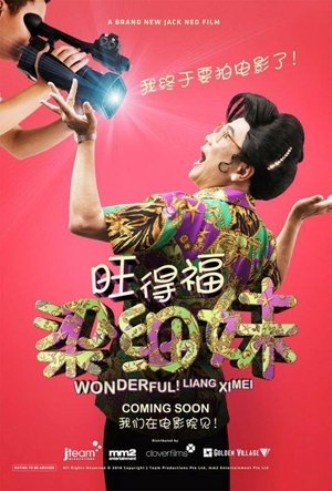 Watch Free Wonderful Liang Xi Mei the Movie (2018)