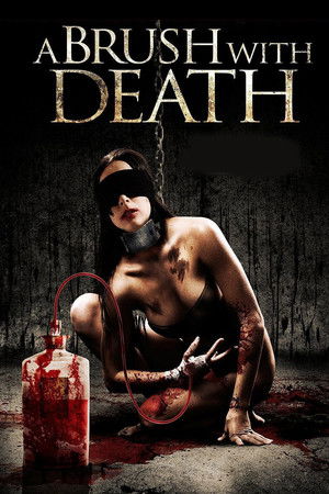 Watch Free A Brush with Death (2007)
