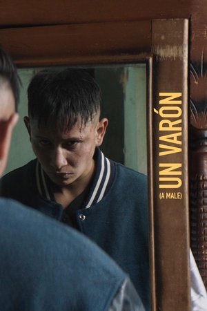 Watch Free A male (2022)