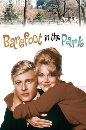 Watch Free Barefoot in the Park (1967)