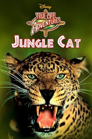 Watch Free Jungle Cat (1960)