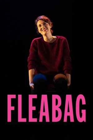 Watch Free National Theatre Live: Fleabag (2019)