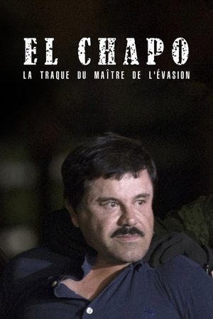 Watch Free The Rise and Fall of El Chapo (2016)