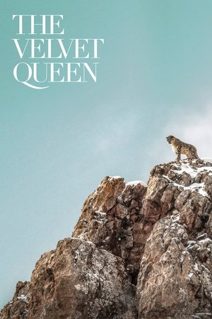 Watch Free The Velvet Queen (2021)