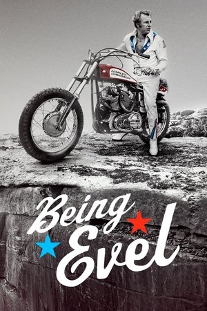 Watch Free Being Evel (2015)