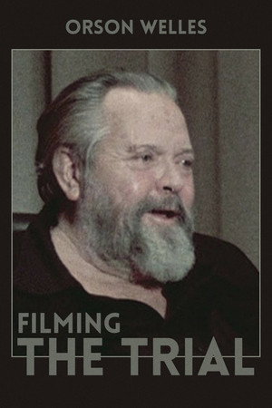 Watch Free Filming the Trial (1981)