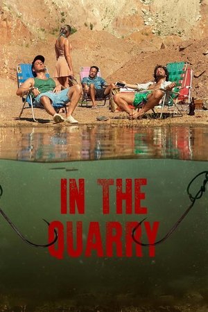 Watch Free In the Quarry (2019)