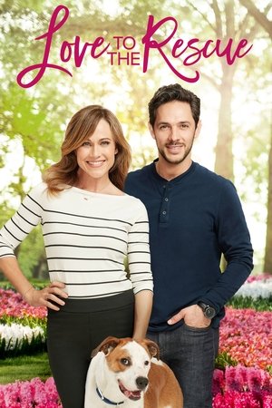 Watch Free Love to the Rescue (2019)