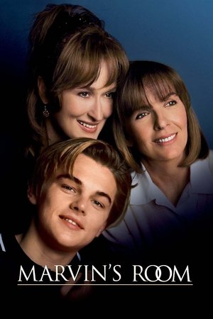 Watch Free Marvins Room (1996)
