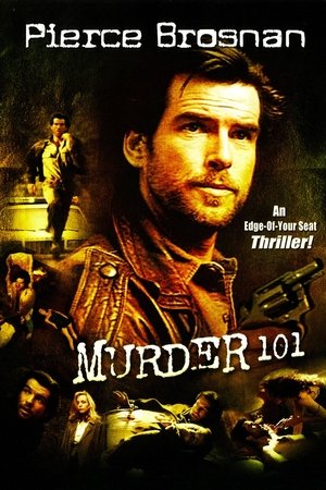 Watch Free Murder 101 (1991)