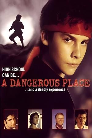 Watch Free A Dangerous Place (1994)