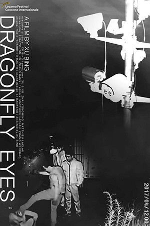 Watch Free Dragonfly Eyes (2017)