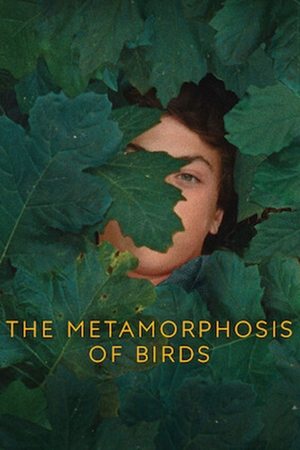 Watch Free The Metamorphosis of Birds (2020)