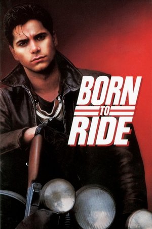 Watch Free Born to Ride (1991)