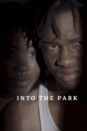 Watch Free Into the Park (2022)