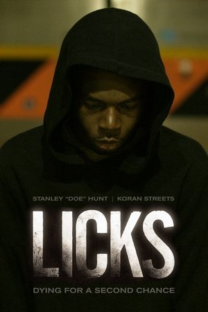Watch Free Licks (2013)
