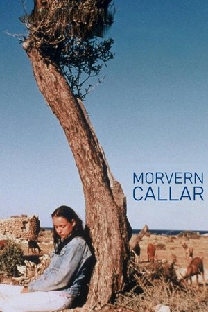 Watch Free Morvern Callar (2002)