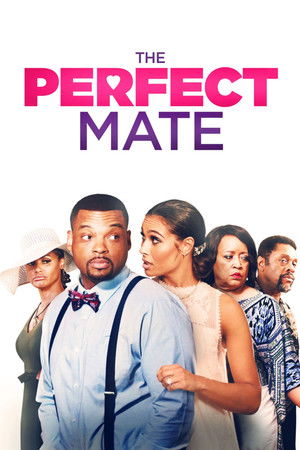 Watch Free The Perfect Mate (2020)