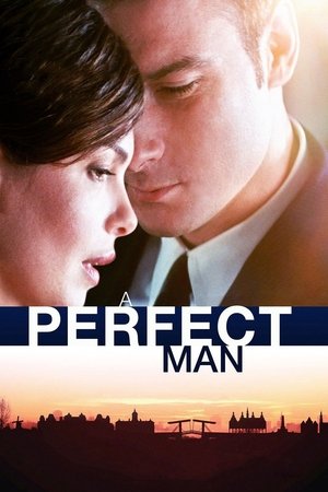Watch Free A Perfect Man (2013)