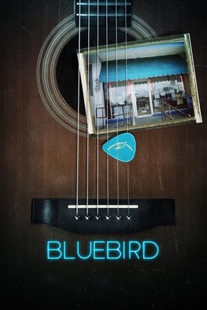Watch Free Bluebird (2019)