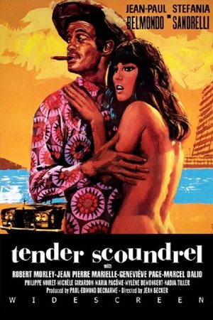Watch Free Tender Scoundrel (1966)